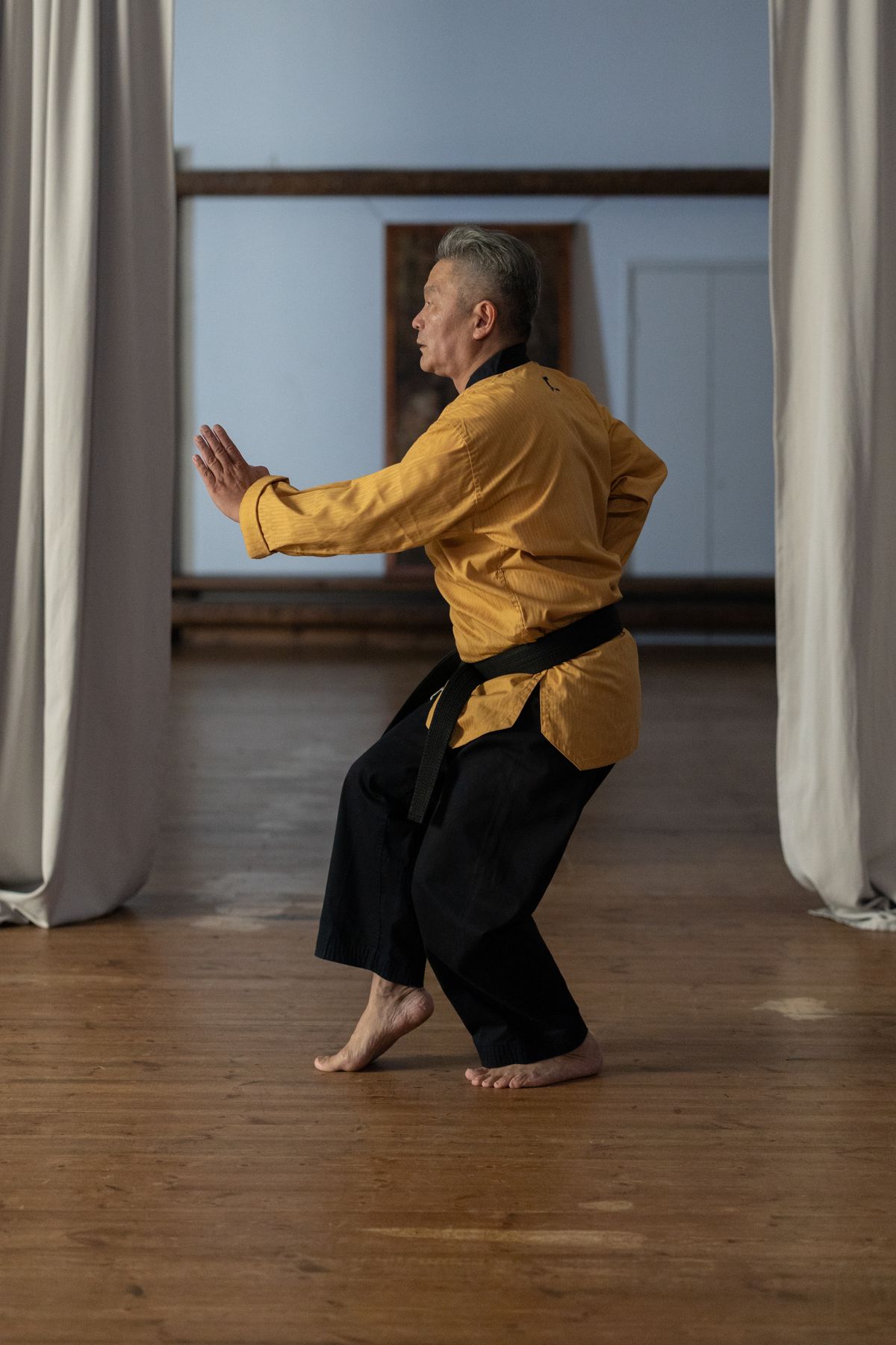 Traditional martial arts practitioner in horse stance
