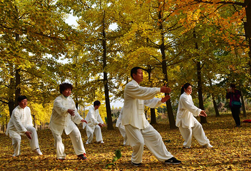 People practicing tai chi in an autumn park, sunlight filtering through ginkgo leaves