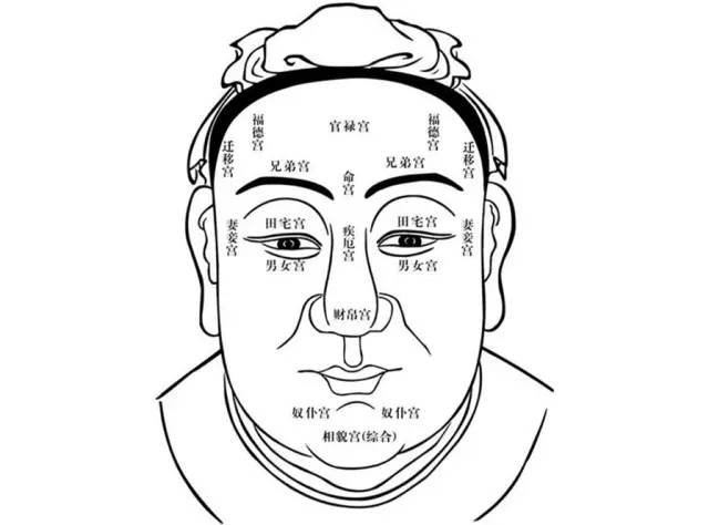 中国传统面相十二宫分区示意图，鼻子位置标注为财帛宫
