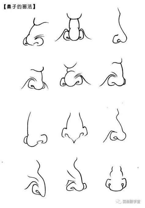 线描风格的悬胆鼻与截筒鼻对比示意图