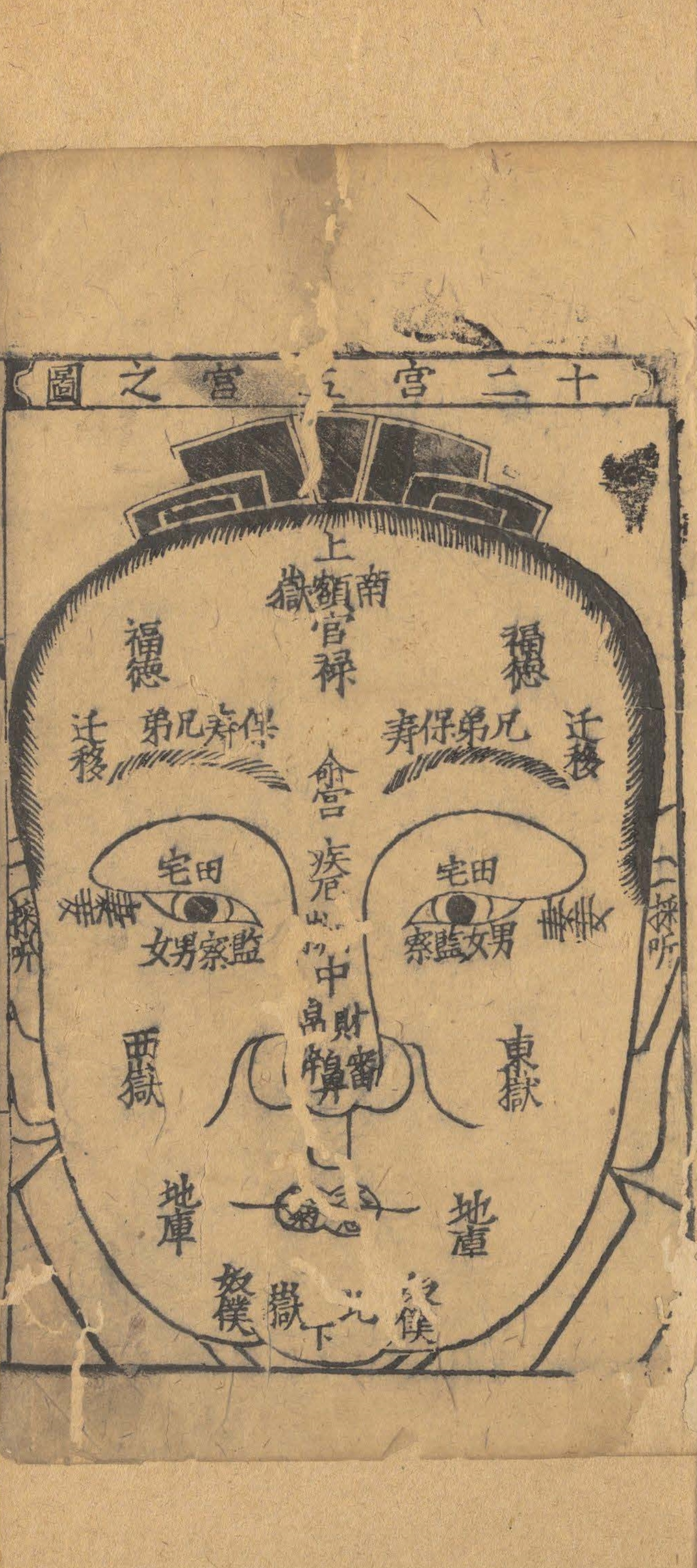 古籍麻衣相法插画风格的鼻型分类图
